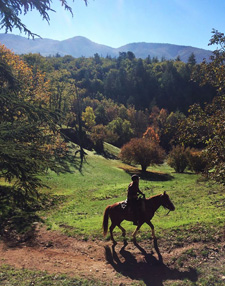 France-Provence-French Colorado Provence Ride